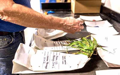 Four Reasons Why You Should Be Plant Tissue Testing