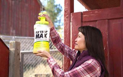 Take catching flies to the MAX with the RESCUE! Fly Trap Max