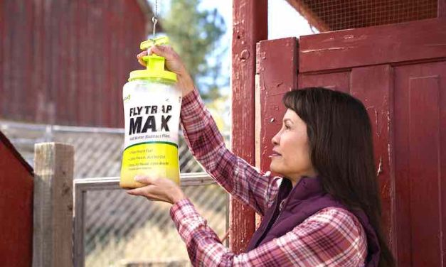 Take catching flies to the MAX with the RESCUE! Fly Trap Max