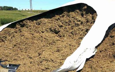 Proper Packing of Bagged Silage for Best Results