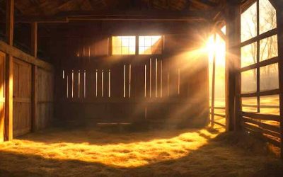 Inside the Empty Barn