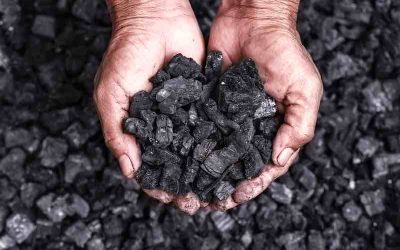 The Dark Side of Biochar: A critical examination of this trending soil amendment [VIEWPOINT]