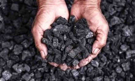 The Dark Side of Biochar: A critical examination of this trending soil amendment [VIEWPOINT]