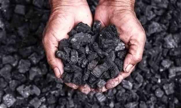 The Dark Side of Biochar: A critical examination of this trending soil amendment [VIEWPOINT]