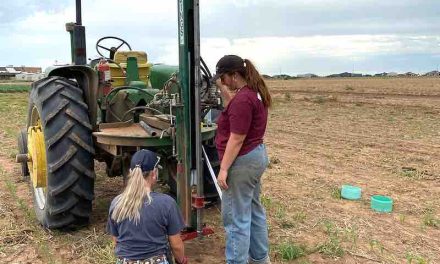Deep Soil Testing Can Reduce Input Costs Amid High Fertilizer Prices