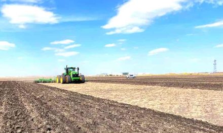 Make Every Acre Count:  How Drip Irrigation is Turning Struggling Ground into Top-Performing Fields [VIEWPOINT]