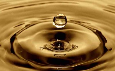 Lubricants: Unsung Heroes of Sustainability