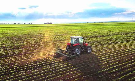 Assessing the Value of Your Machinery
