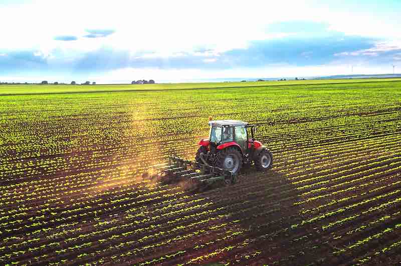 Assessing the Value of Your Machinery